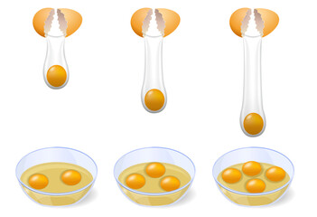 set of realistic shinny chicken eggs isolated or break egg shell and pour into a bowl concept. 3D Render