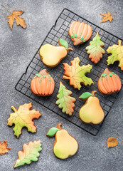 Multicolored autumn homemade cookies