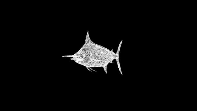 3D Saw fish rotates on black background. Underwater life concept. Marine underwater life. Business advertising backdrop. For title, text, presentation. 3d animation 60 FPS