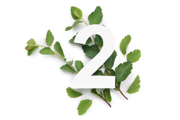Green leaves with paper number two on white background