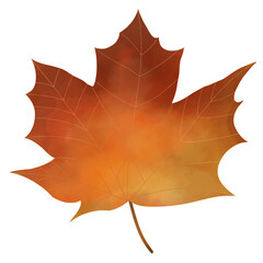 Maple Leaf 