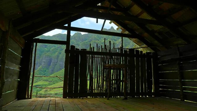 old abandoned shack on tropical island