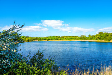 Recze Lake on the island of Wolin in Western Pomerania with the surrounding nature. Landscape by...