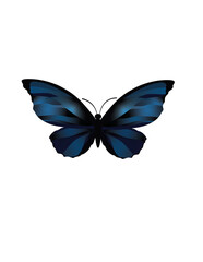 Fluttering Wonders: Exploring the Enchanting World of Digital Art Butterflies