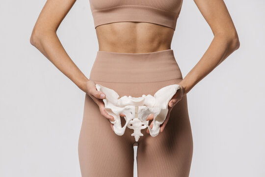 Close-up of the female pelvis in the hands of an athletic, healthy woman. Gynecology, women's healthcare and medicine and healthy body concept.