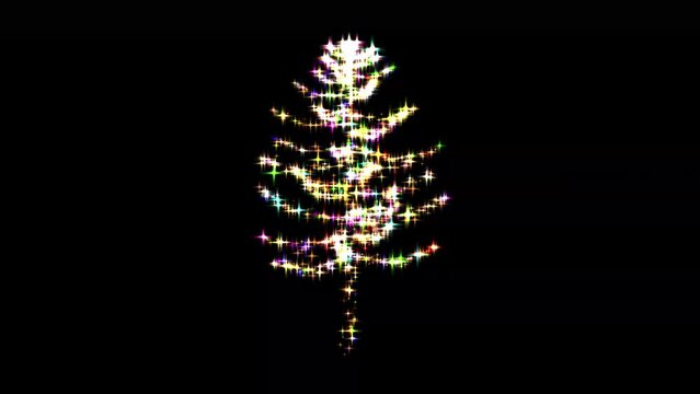Spinning 3d pine tree with colorful glitter particles on plain black background