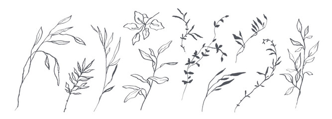 Set of hand drawn botanical flowers, branches and leaves. Trendy sketch elements of wild and garden plants in line art style. Vector illustration on white background