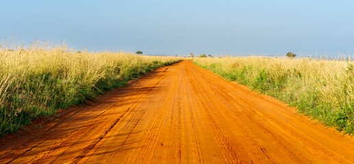 Dirt Road in African Savannah  - 651485624