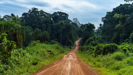 Dirt Road in Tropical Forest. Uganda - 651485824