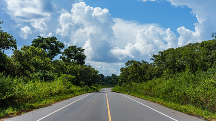 Fototapeta na wymiar Straight Road in Tropical Forest 