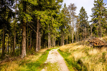Schöne Wanderung durch den Hochtaunus am Feldberg an einen wunderschönen Spätsommertag - Hessen - Deutschland