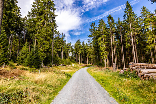 Sch&ouml;ne Wanderung durch den Hochtaunus am Feldberg an einen wundersch&ouml;nen Sp&auml;tsommertag - Hessen - Deutschland