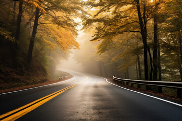 Fototapeta premium view landscape on the roadway with autumnal maple forest and the mist, colorful autumnal on morning light.