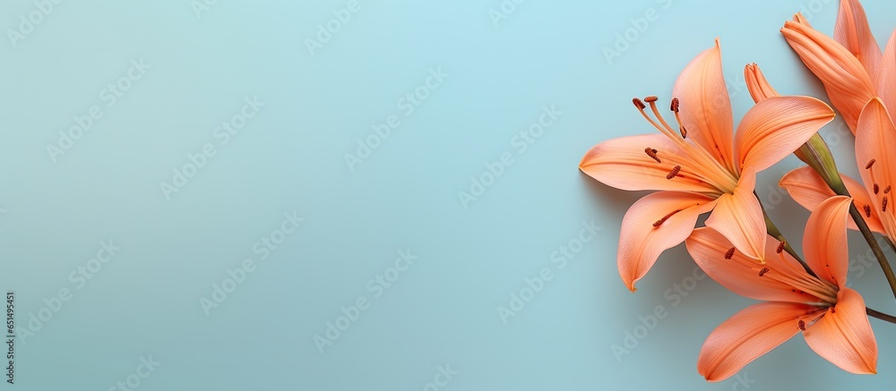 Sticker The beauty of a orange blossom isolated pastel background Copy space