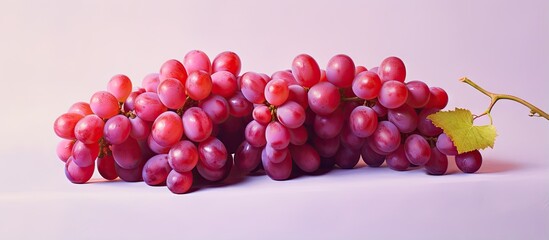 Fototapeta premium Red grapes on a isolated pastel background Copy space