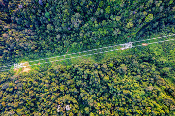 view powerline from top in the middle of tropical jungle