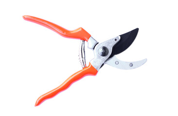 Pruner, Pruning scissors isolated on the white background. Concept, tool, equipment for working in...