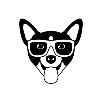 Portrait of Pembroke Welsh Corgi with glasses, black and white flat style. Vector illustration of Hipster dog.