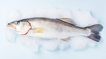 Obraz premium Fresh raw cod fish on ice. Seafood background. Generative AI