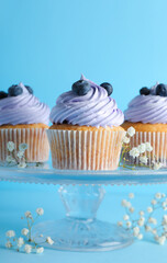 Stand of tasty cupcakes with blueberries on blue background