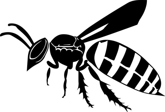 black and white wasp clip art preview