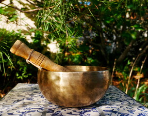 Close-up of a singing bowl with nature in the background