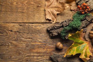 Composition with tree bark and autumn leaves on brown wooden background