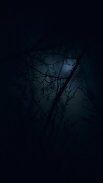 Hornbeam branches with out of focus full moon and passing cloud in background,  hamburg, germany, 2023,  vertical format