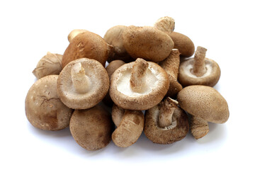 Fresh shiitake mushrooms on white background.