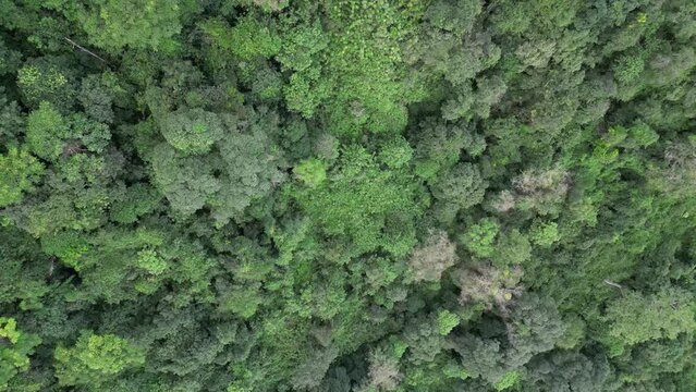 라오스 방비엥의 원시자연 풍경, 산맥과 춤추는 구름들