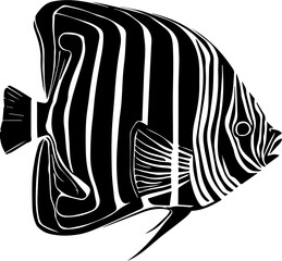 Emperor Angelfish icon 1