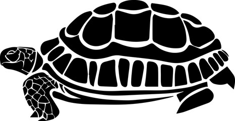 Egyptian Tortoise icon 4