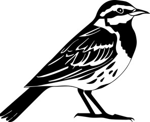 Eastern Meadowlark icon 3