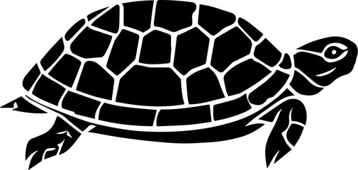 Eastern Box Turtle icon 6