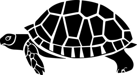 Eastern Box Turtle icon 1