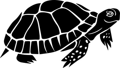 Eastern Box Turtle icon 5