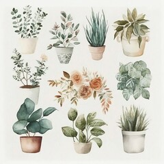 Fototapeta na wymiar Botanical Design Watercolor Illustration Artwork, House Plants Home Wall Art, Interior Decor Prints, Home Decor Artprint