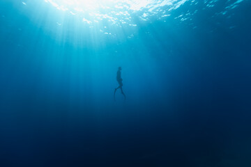 Freediver Swimming in Deep Sea With Sunrays. Young Man DIver Eploring Sea Life. - obrazy, fototapety, plakaty