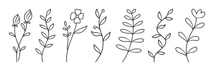 Vector set line art of botanical Element floral decoration