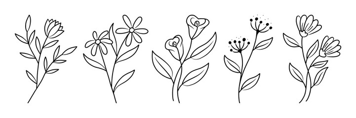 Line art illustration of botanical Element, vector set floral decoration