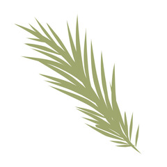 Palm leaves