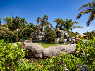Palm trees and cactus at the Oasis Wildlife in Fuerteventura