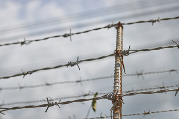 barbed wire against the sky