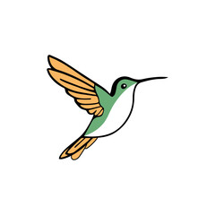 hummingbird, Colibri isolated on a white background. Vector illustration