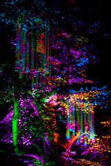 tree covered with lights