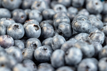 sweet and delicious blueberries during storage before sale