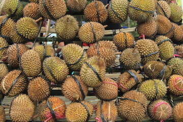 a bunch of tied durians