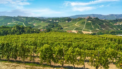 Zelfklevend Fotobehang Langhe vineyards and Castiglione Falletto village. Piedmont, Italy © stevanzz