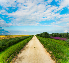 Gravel road in the Warta Mouth National Park, Poland.
