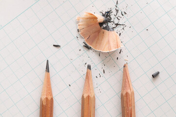 芯が尖った鉛筆と丸くなった鉛筆と折れた鉛筆と削りカス